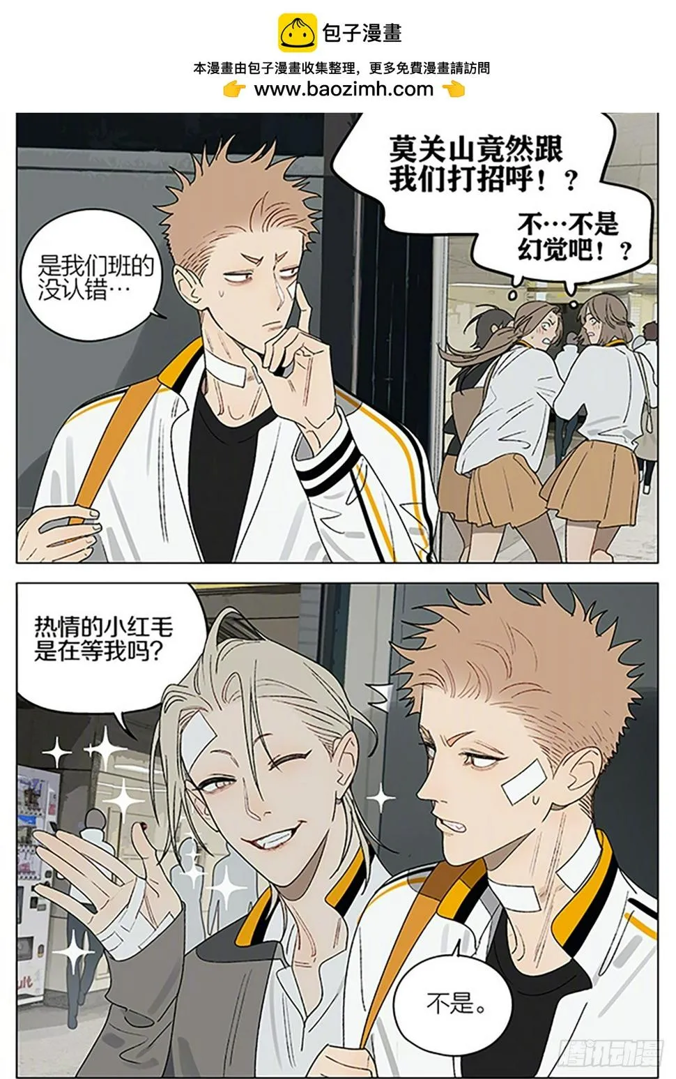 茶叶 第2页
