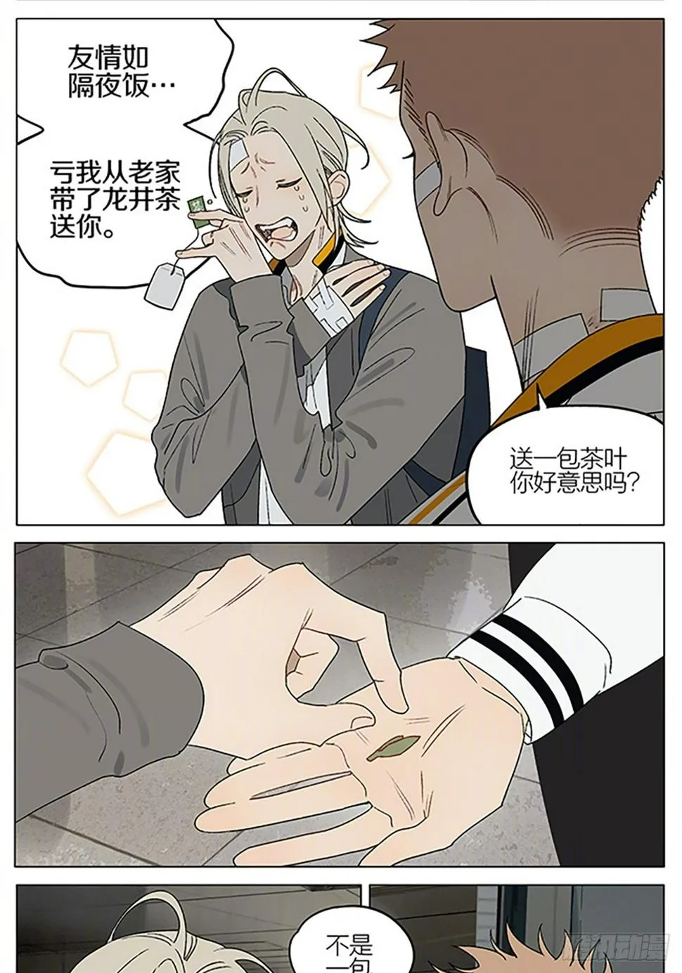 茶叶 第3页
