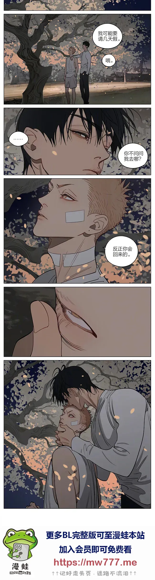 晚风。 第4页