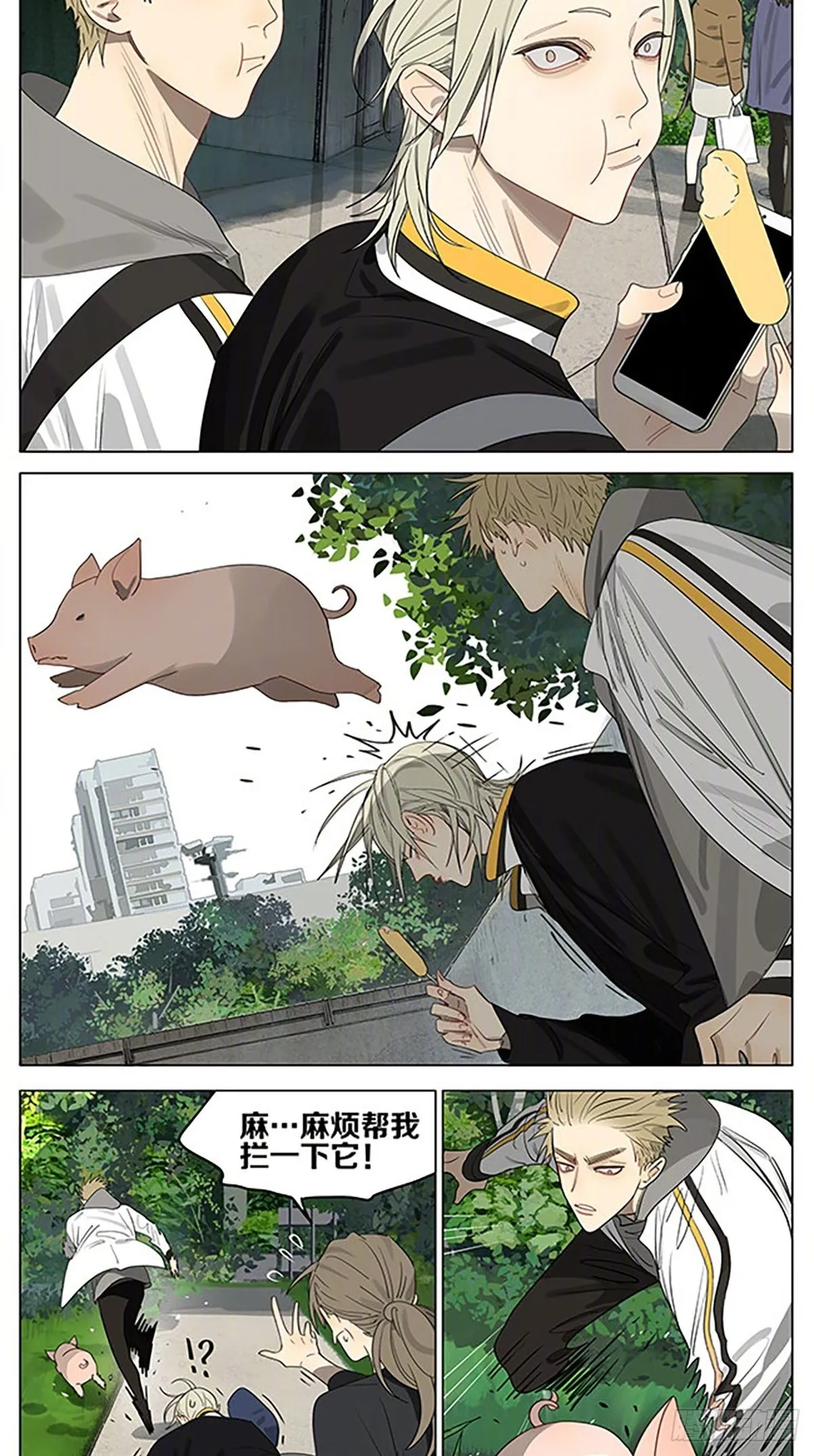 小猪 第2页