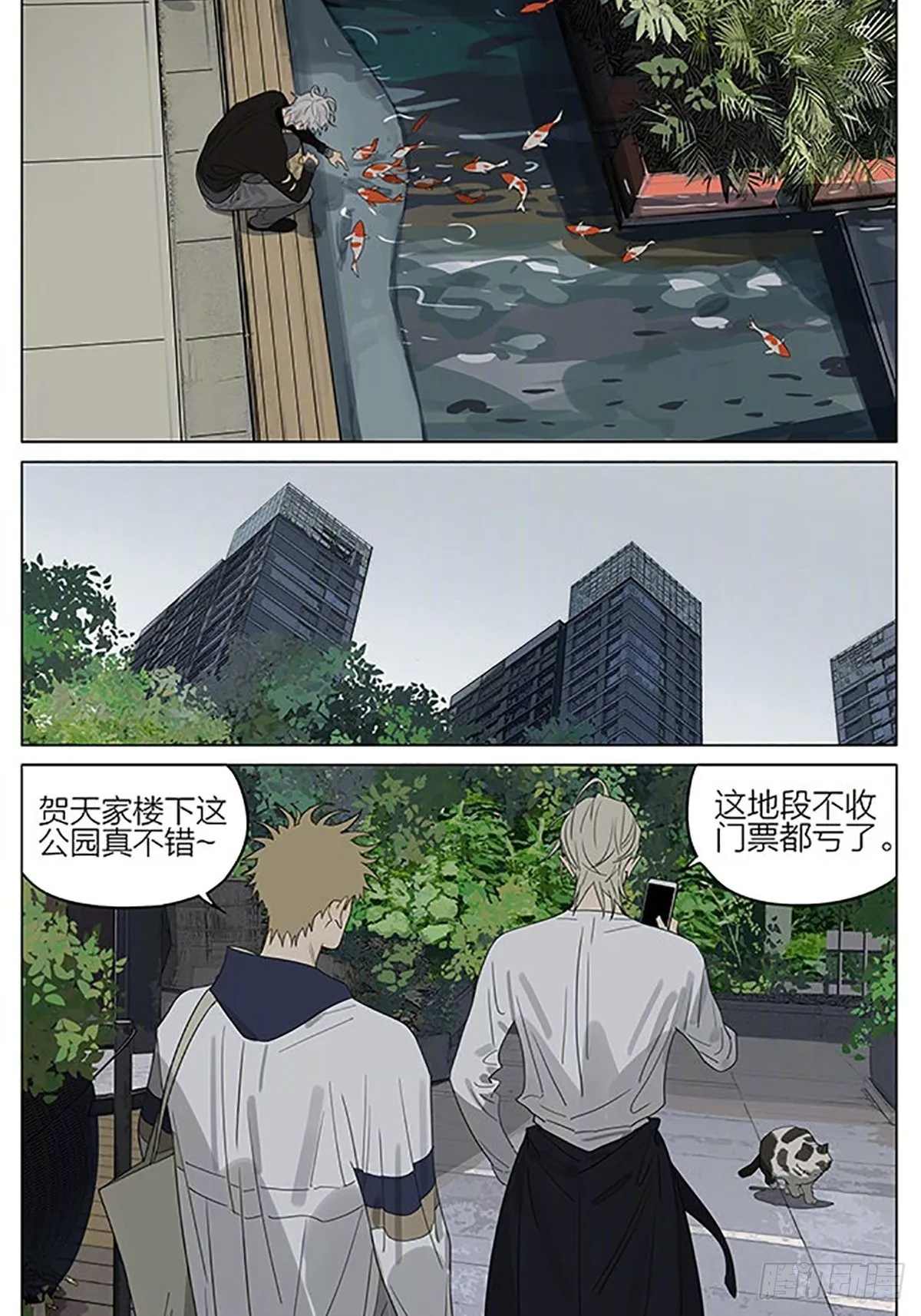 流浪猫 第2页