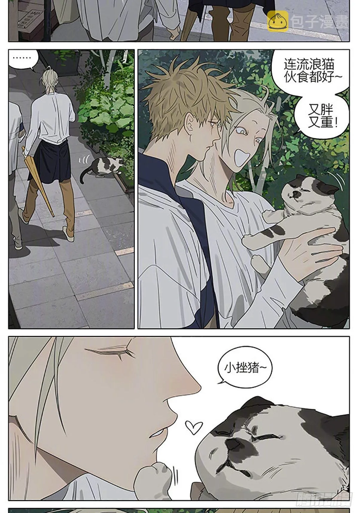 流浪猫 第3页