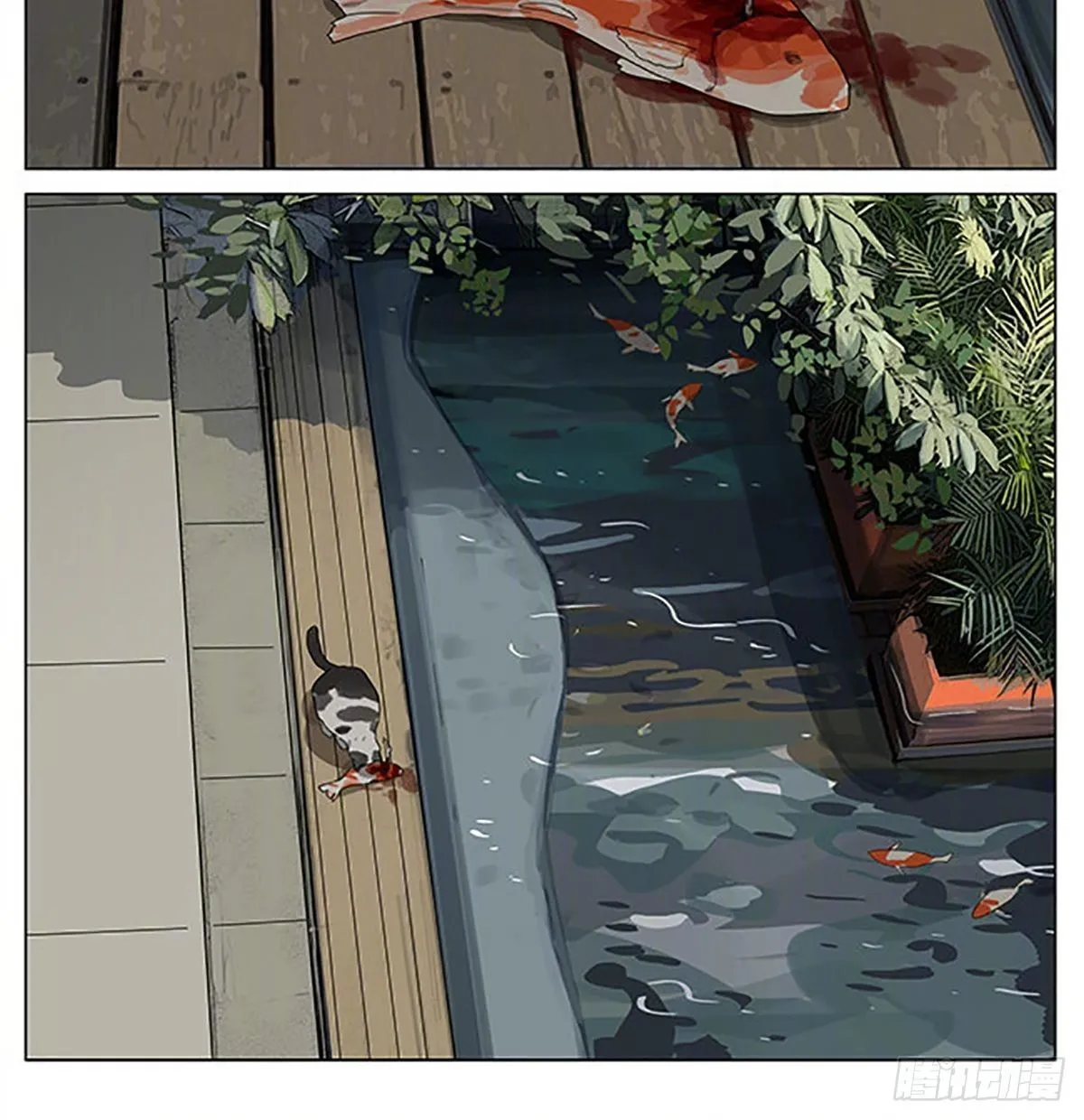 流浪猫 第6页