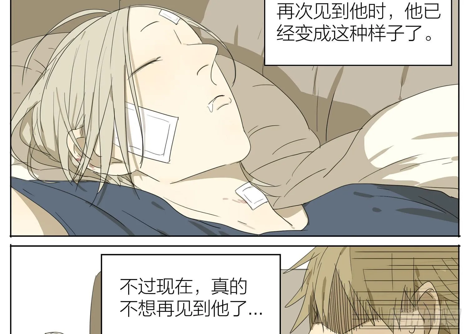 关于贱贱 第6页