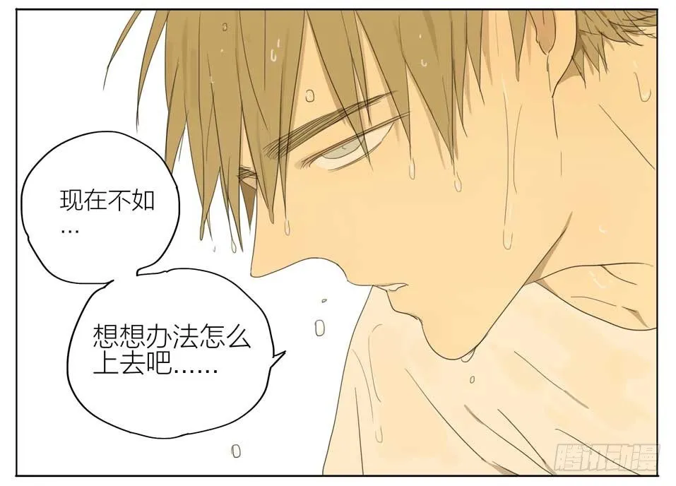 梯子 第6页