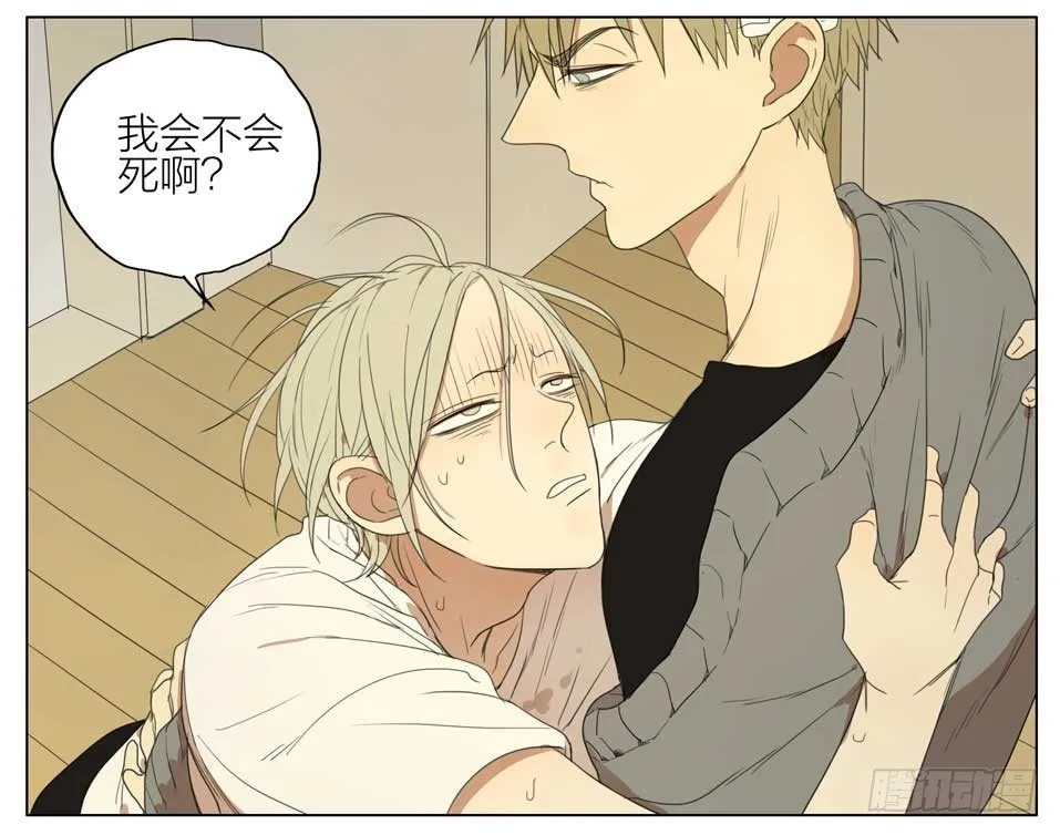 帮我脱衣服1 第2页