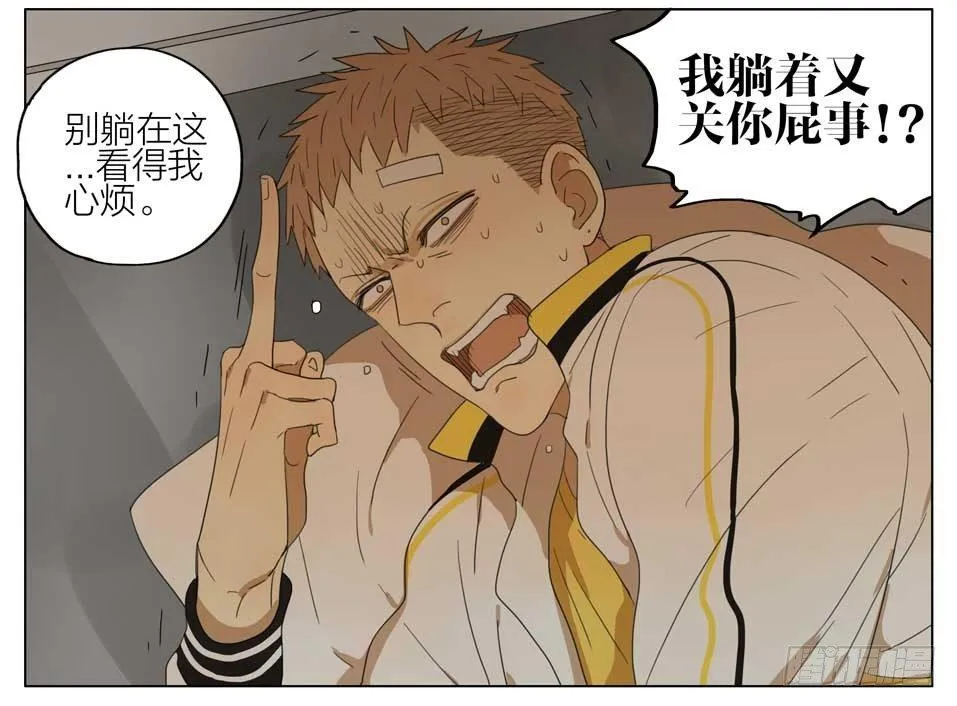 以后听我的 第3页