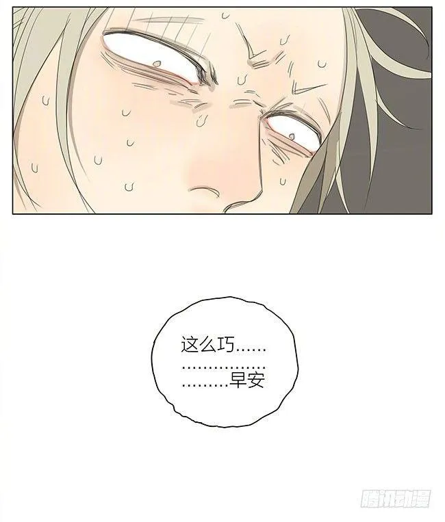 早安 第13页