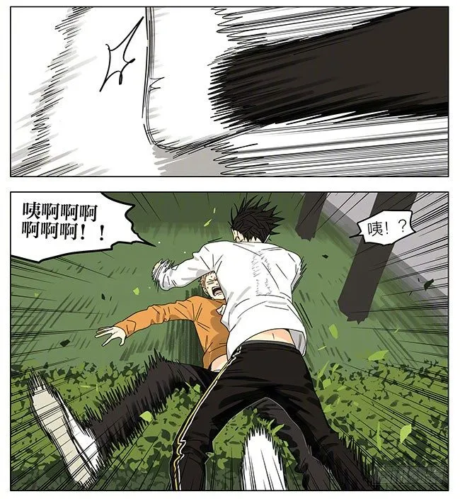 成绩 第13页