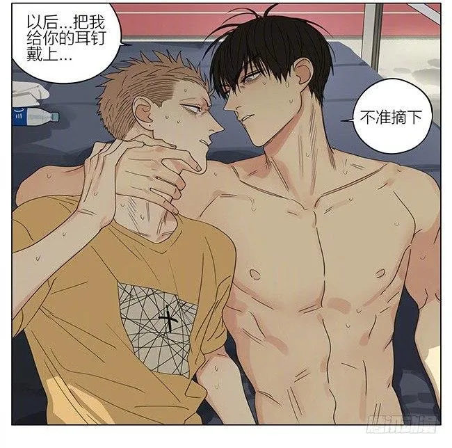 耳洞 第14页