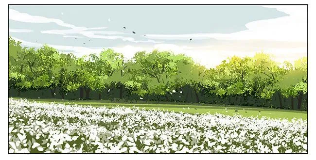早晨 第5页