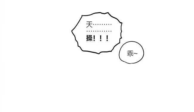 活动 第14页
