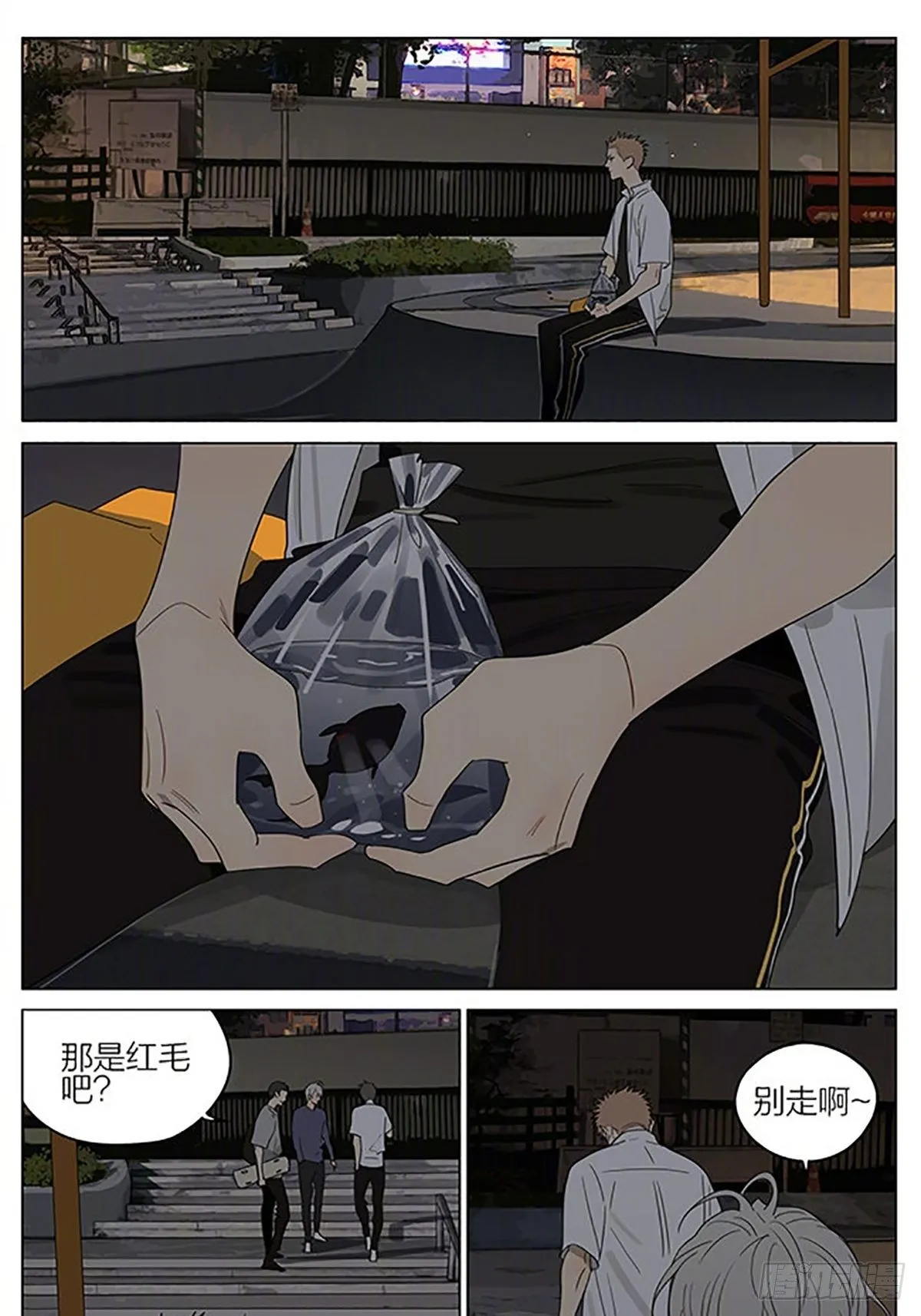 金鱼 第7页