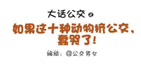 257-十种动物挤公交 第1页
