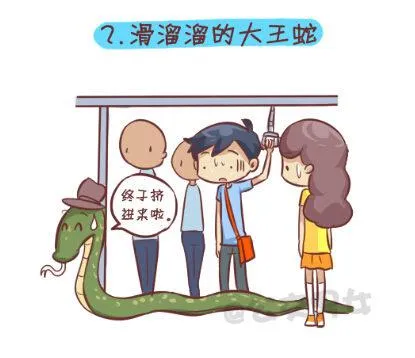 257-十种动物挤公交 第3页