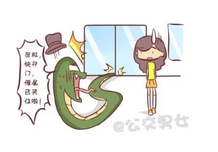 257-十种动物挤公交 第4页