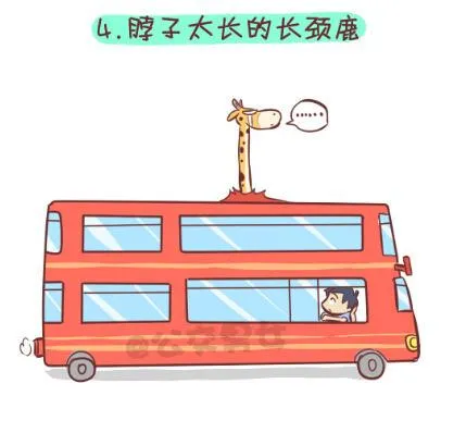 257-十种动物挤公交 第6页