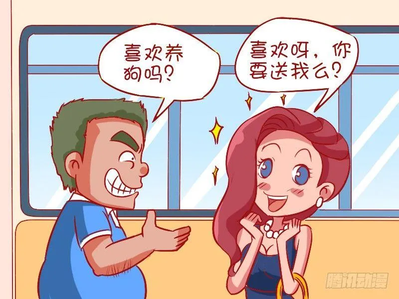 484-高逼格宠物 第2页