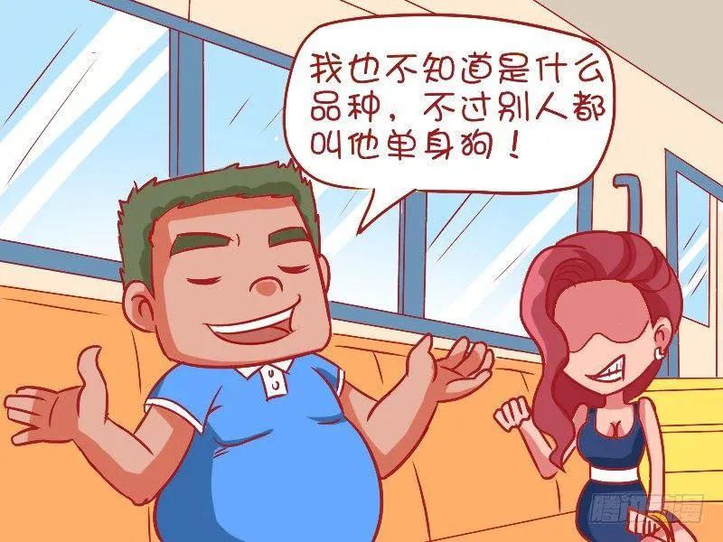 484-高逼格宠物 第4页