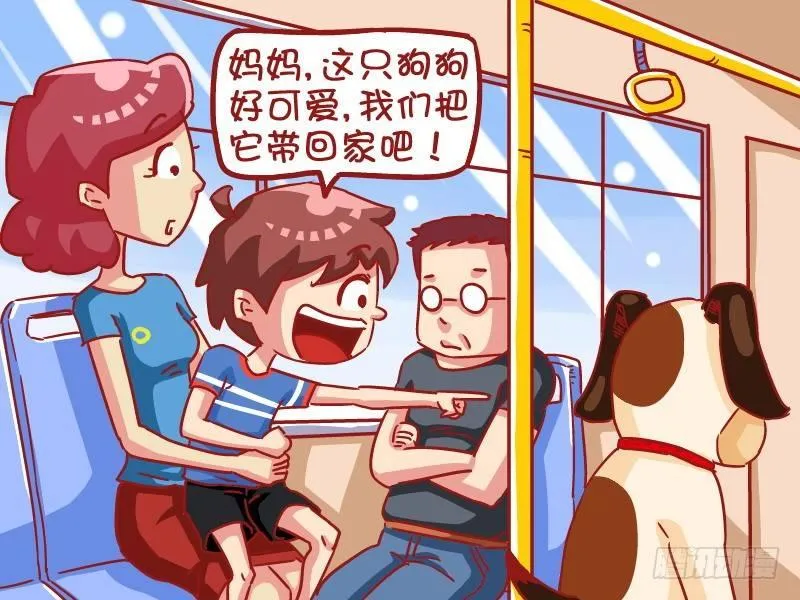 498-狗狗闹公交 第2页