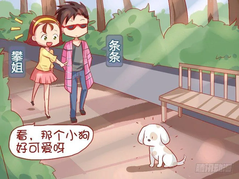 792-可爱的小狗 第2页