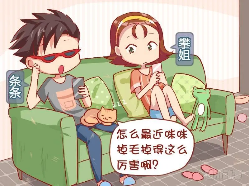 830-买衣服的理由 第2页