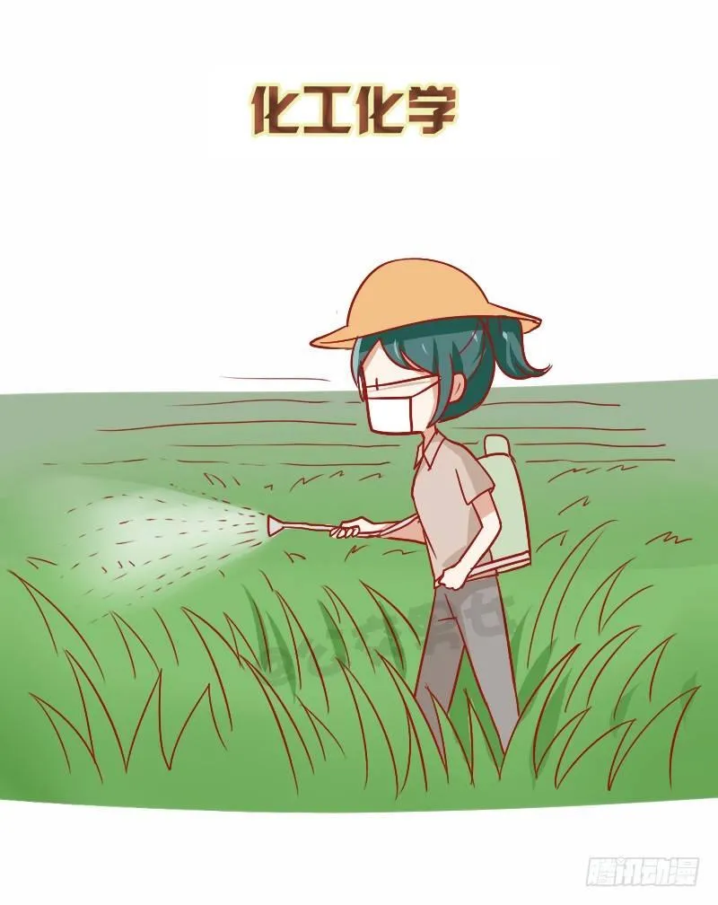 862-各大专业前景 第7页