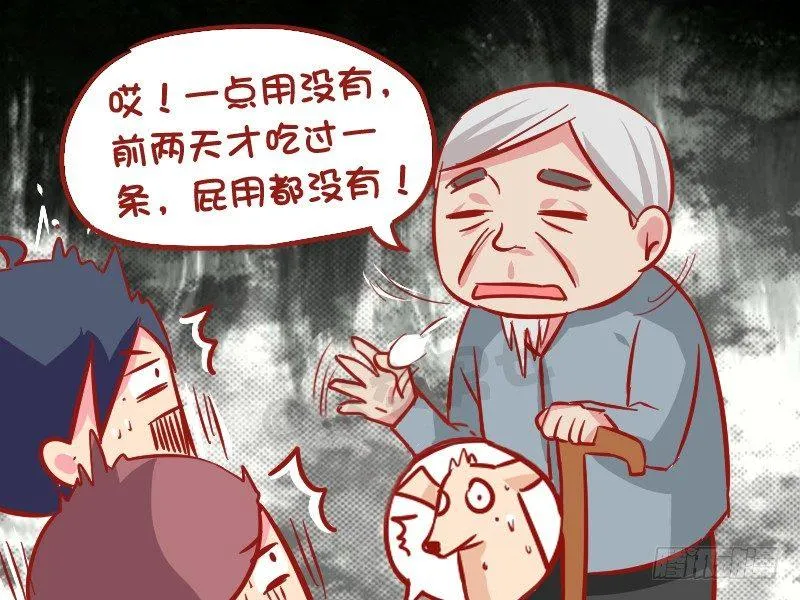 1022-导盲犬 第5页
