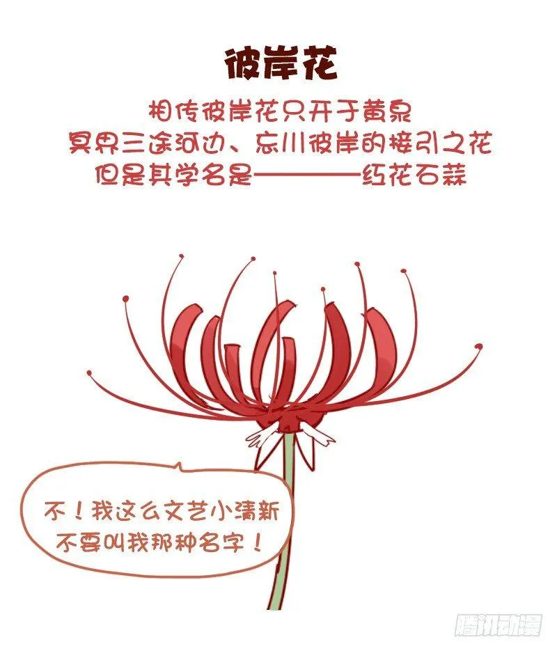 1040-听着高大上但普通的东西 第3页