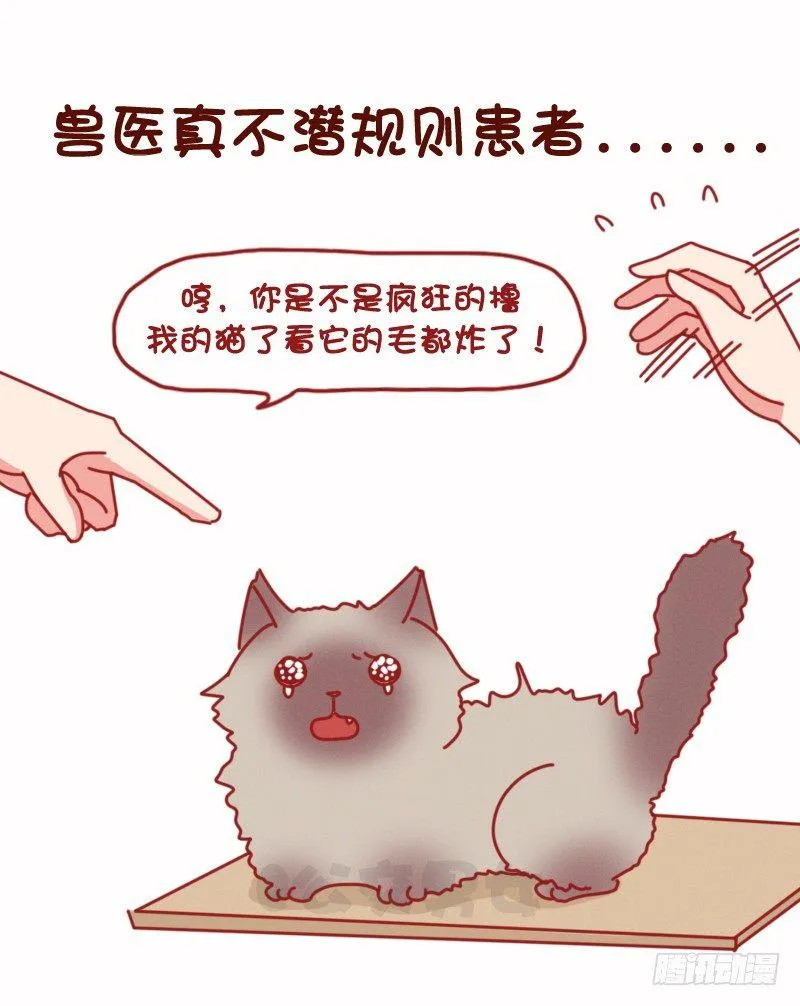 1075-各行各业鲜为人知的秘密 第9页