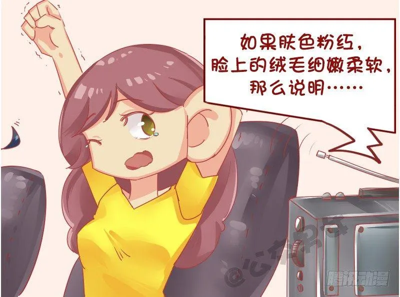 1128-养猪知识讲座 第3页