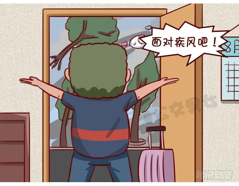 台风 第3页