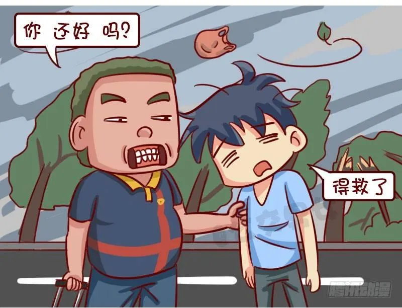 台风 第5页