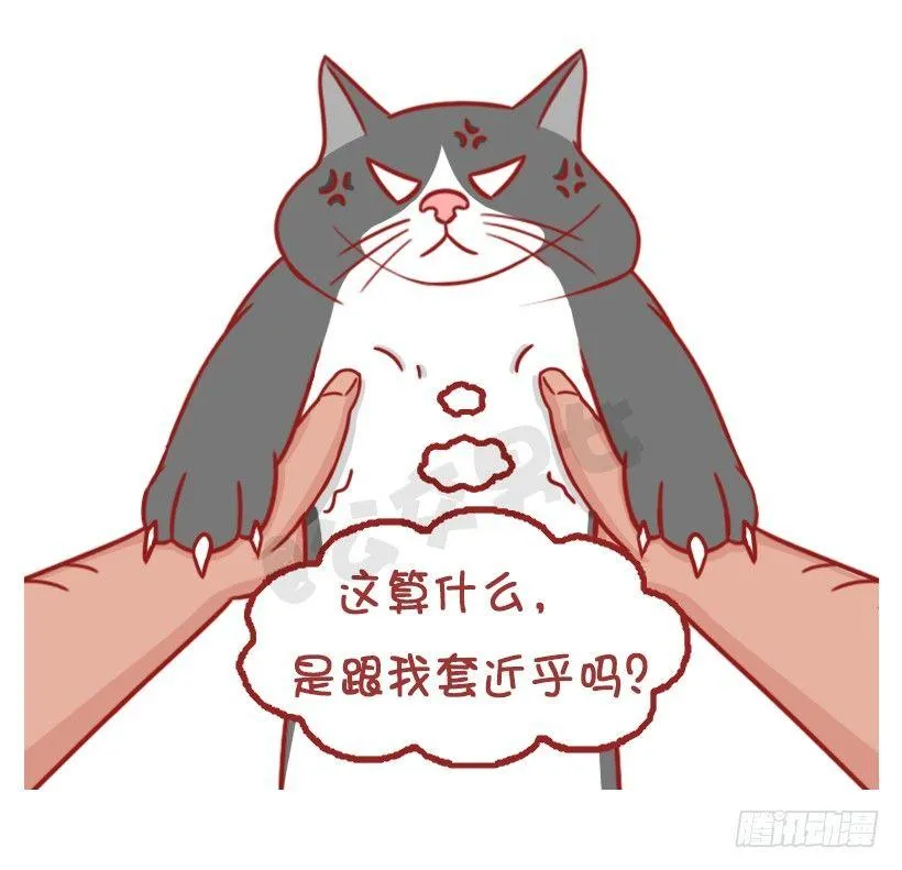 不是说，建国之后动物不能成精吗？ 第5页