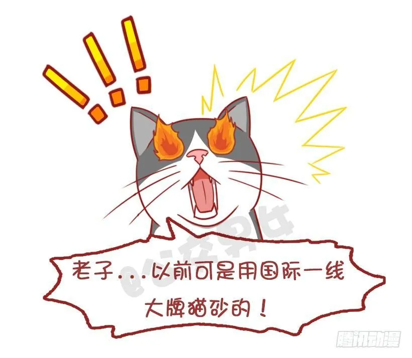 不是说，建国之后动物不能成精吗？ 第14页