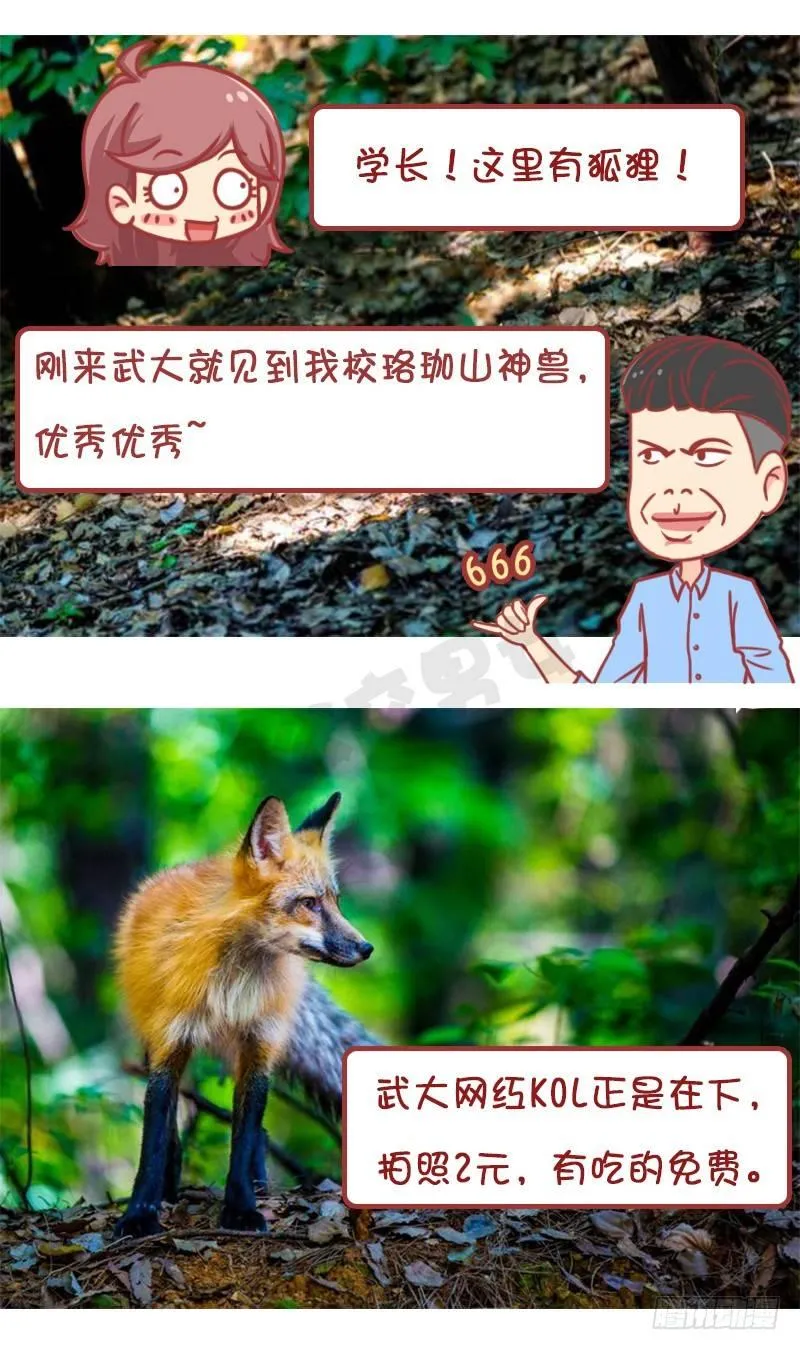 妮妮酱带你游高校 第12页