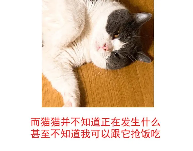 唠嗑+小番外 第9页