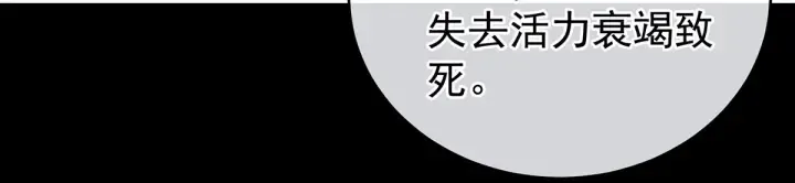 第185话 命悬一线 第42页