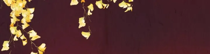 第199话 宁王夫要换人？ 第2页