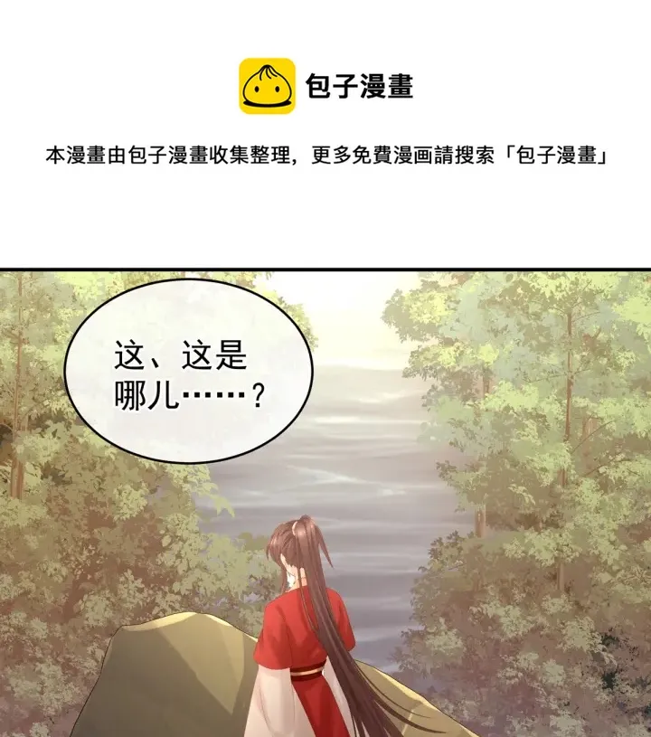 第199话 宁王夫要换人？ 第13页