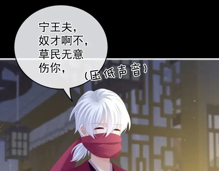 第200话 宁王大婚 第14页