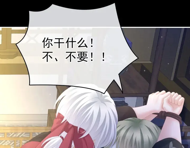 第200话 宁王大婚 第26页