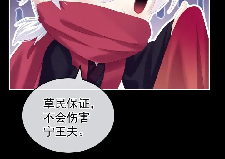 第200话 宁王大婚 第31页