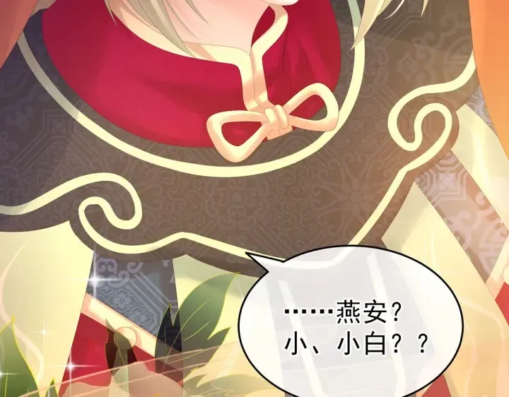 第200话 宁王大婚 第92页