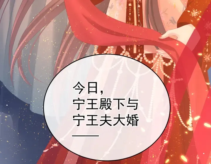 第200话 宁王大婚 第105页
