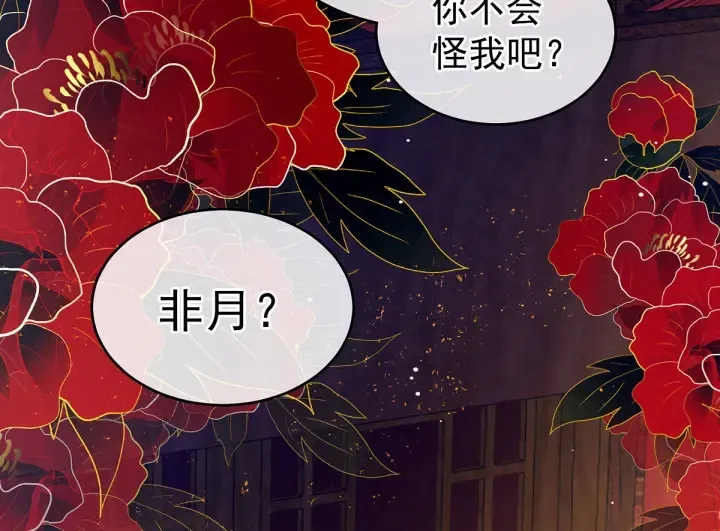 第200话 宁王大婚 第116页