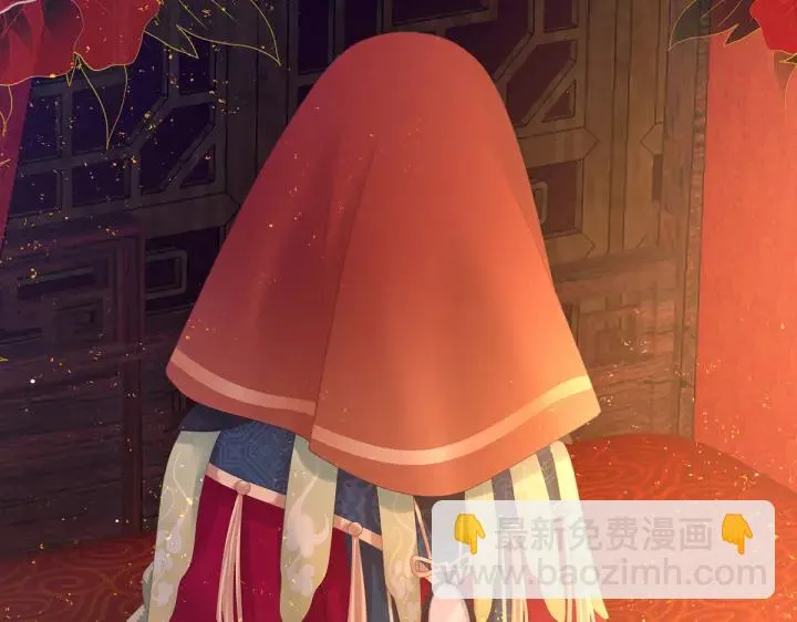 第200话 宁王大婚 第117页