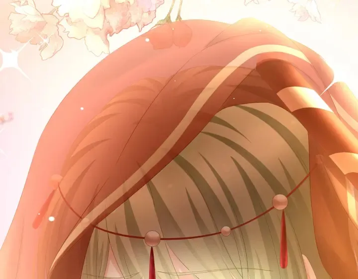 第200话 宁王大婚 第132页