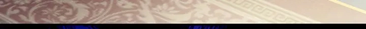 第202话 诚实的躯体 第78页