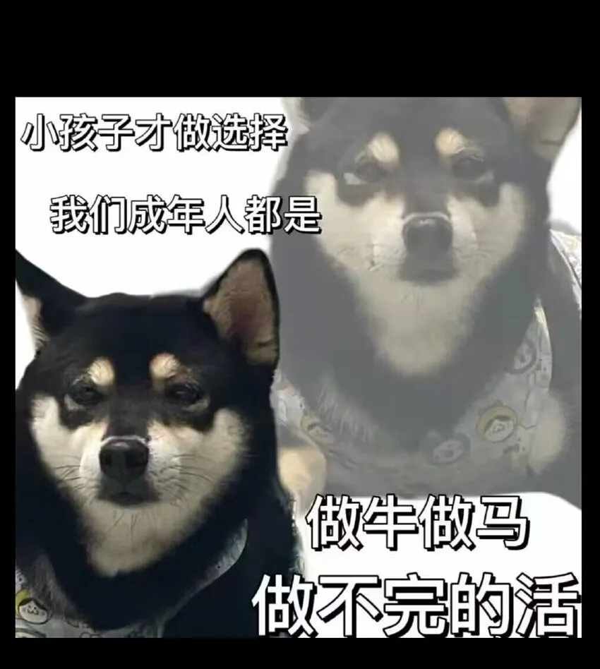 66 有限vs无限 第108页